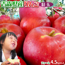 りんご 【青森県産りんご 紅玉 ファーム4.5kg以上】13-28玉 家庭用 送料無料 ゴールド農園 りんご リンゴ 訳アリ アップルパイ[※常温便][※産地直送のため同梱不可]