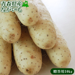長芋 送料無用 青森県 東北町 七戸町産 【青森県産ながいも贈答用10kg】(2L～Lサイズ 12-15本) JAゆうき青森 から「おなごぶりいい」美白ながいも [※常温便/産地直送のため同梱不可]