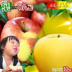 葉っぱの影は甘さのサイン 【葉とらずりんご ふじ＋シナノゴールド ファーム10kg】 家庭用(13-23玉×2段) 本場青森 ゴールド農園 送料無料 サンふじ りんご 訳あり [※産地直送のため同梱不可] 「GOLD」