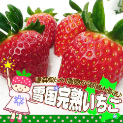 ヒカリ農園　いちご