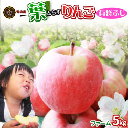 葉っぱの影は甘さのサイン【葉とらずりんご ふじ（有袋）ファーム5kg】家庭用(13-23玉) 青森産 リンゴ 林檎 アップル 訳あり 青森りんご [※産地直送品同梱不可][冷蔵便]