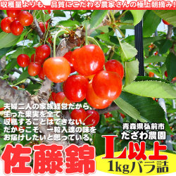 さくらんぼ　田澤農園