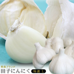 青森県産 田子 にんにく 特選Ｌサイズ 送料無料 2025年度産 【田子町産にんにく AL】 (14-16玉) 青森県が誇るブランド産地田子町から、産地直送でお届けします！[※常温便][※当店他商品との同梱不可]