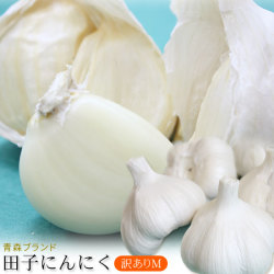 青森県産 田子 にんにく 訳あり Mサイズ 送料無料 2025年度産【田子町産にんにく CM】(19-22玉) 青森県が誇るブランド産地田子町から、産地直送でお届けします！ [※常温便][※当店他商品との同梱不可]