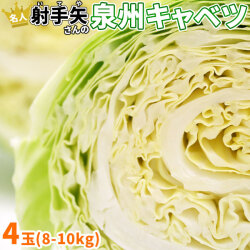 冬限定 キャベツ 送料無料 芯まで甘い究極の【泉州キャベツ4玉（8～10kg）】 煮込むと芯の繊維までとろとろ♪[産地直送の為当店他商品と同梱不可]