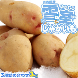 雪室 ジャガイモ【青森県産 雪室じゃがいも 2.1kg前後】3種詰め合わせセット S－2Lサイズ ばら詰め じゃが甘くん 雪室貯蔵 冬季限定 ゆきむろ 沖揚平 サニタスガーデン  [産地直送のため他商品と同梱不可] [品種指定不可]
