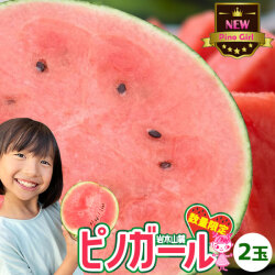小玉スイカ 送料無料 【青森県産 小玉すいか ピノガール 2玉】 ご家庭用規格 種ごと食べられる マイクロシード  川村農園 スイカ すいか 訳あり 西瓜 [※同梱不可][※配送指定不可・ご予約順の発送]