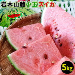 小玉スイカ 送料無料 メガ盛り 【青森県産 小玉すいか 5kg以上】 4～6玉 ご家庭用規格 姫甘泉 野菜ソムリエ の川村農園から直送 岩木山 スイカ すいか 訳あり 西瓜 [※同梱不可][※配送指定不可・ご予約順の発送]
