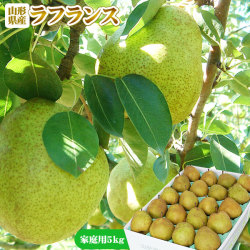 ラフランス 訳あり 送料無料 家庭用 【山形県産 西洋梨 ラ・フランス 5kg】18-20玉(L-2L) [※産地直送のため他商品との同梱不可]