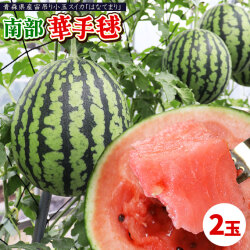 小玉スイカ 送料無料 【青森県産 小玉すいか 南部華手毬 2玉】 食べ応えのあるシャリ感としっかりとした果肉 大向農園から直送 スイカ すいか 西瓜 [※同梱不可][※配送指定不可・ご予約順の発送]