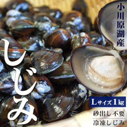 青森 しじみ貝 販売 送料無料 【小川原湖産 冷凍しじみ Lサイズ1kg（500g×2パック）】 便利な小分けタイプ 旨みたっぷり濃厚な出汁が出る小川原湖産のしじみ貝[※冷凍便][※他商品との同梱不可]