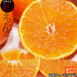 ゼリーのようなプルプル みかん 【愛媛県産みかん 紅まどんな 家庭用4.5kgバラ詰め】 送料無料 13～27玉 M～3L みかん 紅まどんな 訳あり [※市場直送品のため同梱不可]