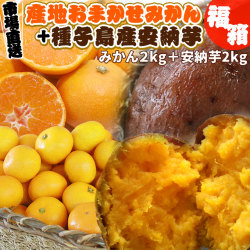 安納芋 みかん 夢の詰め合わせ 福袋 送料無料【安納芋2kg＋産地おまかせ みかん箱2kg】よくばり 福袋 とろける蜜芋とみかんがコラボ[※市場直送・同梱不可]