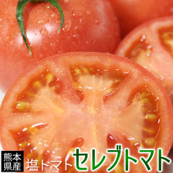 塩 トマト 糖度8度以上 送料無料 熊本県八代産【セレブトマト 秀 11-16玉】完熟 塩トマト の濃厚な甘みと凝縮された旨みは、まさにセレブ。マヨネーズも、塩も、要りません！ とまと [※常温便][※他商品との同梱不可]
