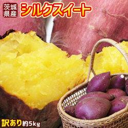 【茨城県産さつまいも　シルクスイート 訳あり 約5kg】(S-2L) 送料無料 [※他商品との同梱不可][※常温便]