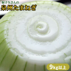 たまねぎ 名人 射手矢さんが作る絶品【泉州たまねぎ 9kg以上（20～40玉）】 送料無料 驚くほどのみずみずしさと甘さ 玉ねぎ タマネギ [※大阪より直送][※他商品との同梱不可]