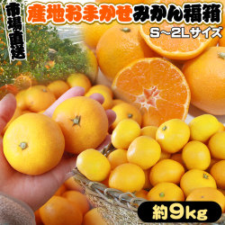 みかん 送料無料 【産地おまかせ みかん福箱9kg】S-2Lサイズ 愛媛産 和歌山産 広島産 いずれか選んでお届けします★[※市場直送品のため同梱不可]