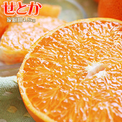 【プレミアム みかん せとか 家庭用約4.5kg】（M～4L 約10～25玉 愛媛県・広島県・和歌山県産） 送料無料 ご家庭用 せとか 訳あり  [※常温便][※他商品との同梱不可]