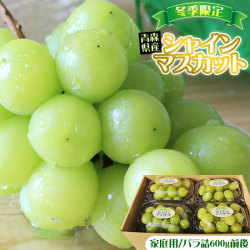 青森県産 【ぶどう シャインマスカット バラ詰600g前後(150g×4パック)】家庭用 送料無料 種無し マスカット[※産地直送のため同梱不可]