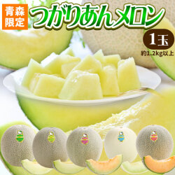 青森県産【つがりあん メロン 1玉 約1.2Kg以上】 L-2Lサイズ 送料無料 贈答用 青森のブランド めろん を産地直送 [※同梱不可・配送指定不可]