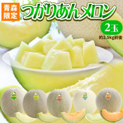 青森県産【つがりあん メロン 2玉 約2.5Kg前後】 L～2Lサイズ 送料無料 贈答用 青森のブランド めろん を産地直送 [※同梱不可・配送指定不可]