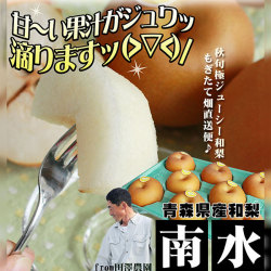 和梨 送料無料 【青森県産和梨2.5kg以上】 南水(6-9玉) ナシ 和梨 南水 青森産 田澤農園  [※産地直送のため同梱不可][※常温便]