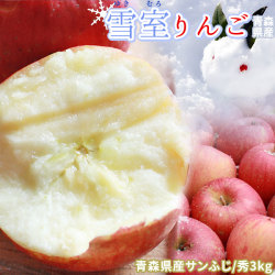 雪の下 りんご 【雪室りんご3kg前後】 (青森産 ふじ 秀品 11～12玉) 送料無料 北国青森の雪室の中で貯蔵した サンフジ を春にお届け致します[※常温便]