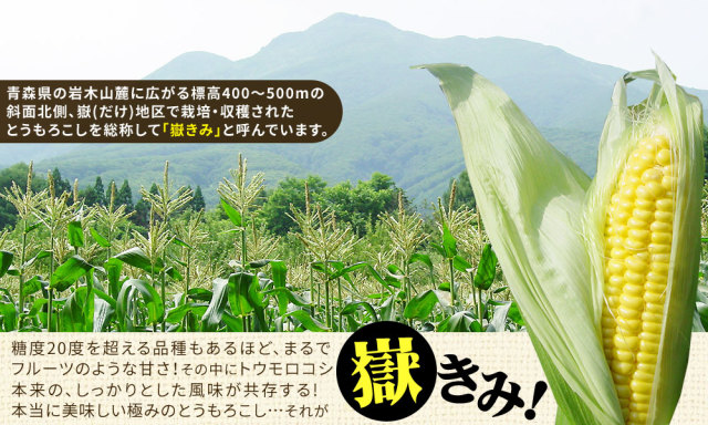 嶽きみ とうもろこし 送料無料 青森県が誇るブランド 極みの