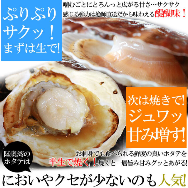 ほたて 活貝 送料無料 青森陸奥湾 【耳吊り ホタテ 7kg前後 49-70枚