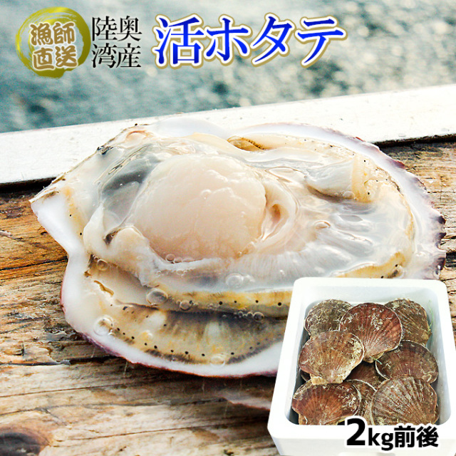 ほたて 活貝 送料無料 【青森陸奥湾産 ホタテ 2kg前後 12-20枚】鮮度が