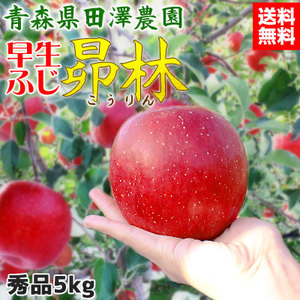 りんごさま専用 林檎さま専用