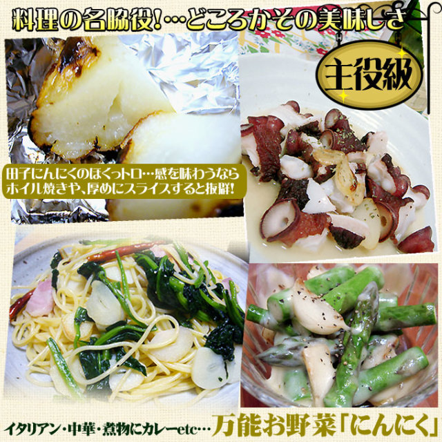 青森県にんにく5Kg2L 楽天市場】有機 乾燥にんにく 5kg 有機JAS 自然栽培 (青森県