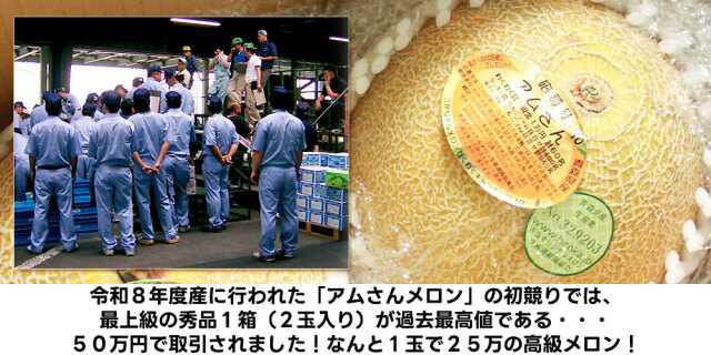 青森県産　S-M玉　1ネット1キロを5ネット メロン 送料無料 青森県産 大玉 【アムさんメロン 1玉 約1.2Kg以上】 L