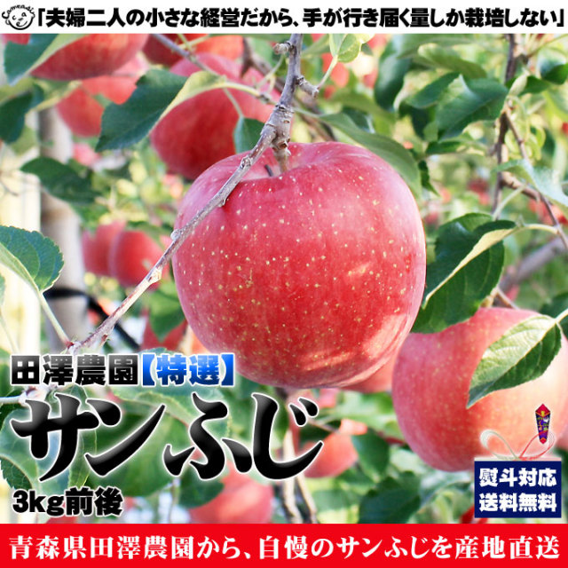 りんご ふじ 特選 贈答用 送料無料 【青森県産サンふじ特選3kg前後