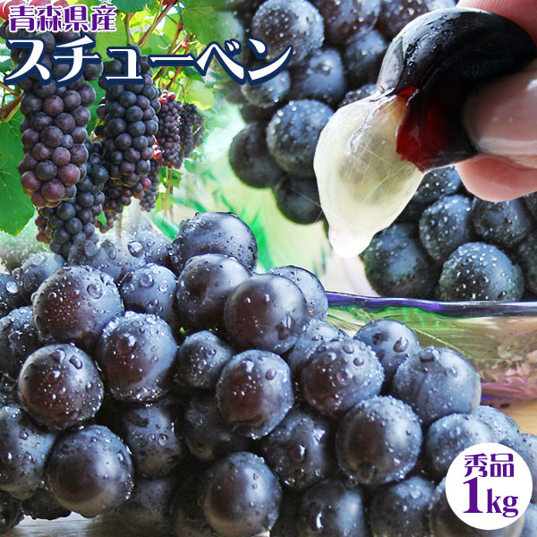 青森県産ぶどう スチューベン1kg】(3-5房入)贈答用 送料無料 手付き箱
