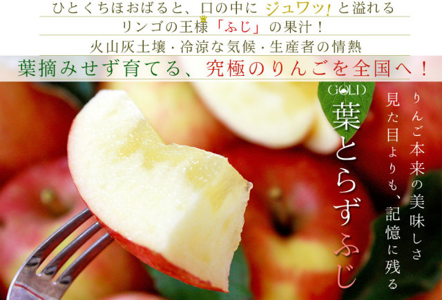 葉っぱの影は甘さのサイン 【葉とらずりんご ふじ＋シナノゴールド