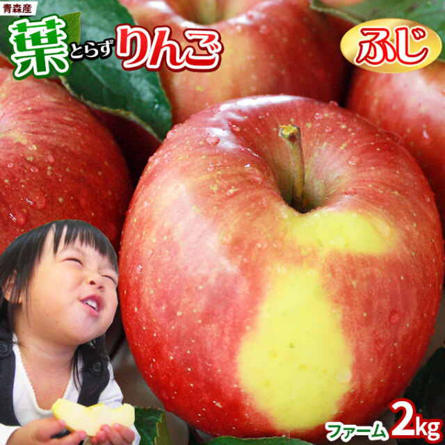 青森県産りんご葉取らずさんフジ家庭用約3キロ2箱 予約受付中】青森県産 葉とらずりんご サンふじ（訳あり）小さめサイズ