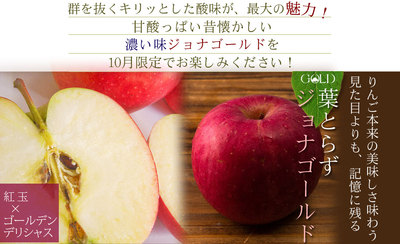 りんご の常識を変える☆葉とらず栽培 本場青森ゴールド農園 送料無料
