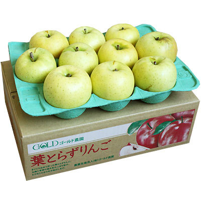 りんご の常識を変える☆葉とらず栽培 本場青森ゴールド農園 送料無料