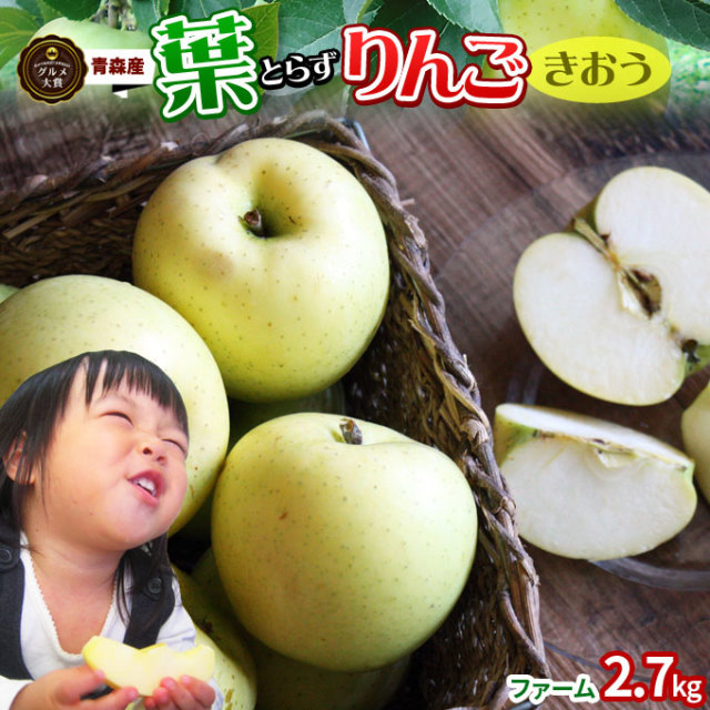 りんご の常識を変える☆葉とらず栽培 本場青森ゴールド農園 送料無料