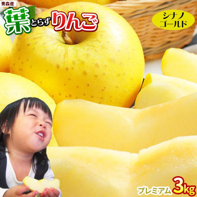 葉っぱの影は甘さのサイン 【葉とらずりんご シナノゴールド3kg