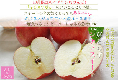 りんご の常識を変える☆葉とらず栽培 本場青森ゴールド農園