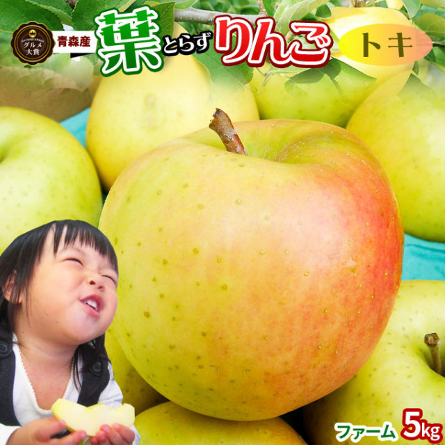 りんご の常識を変える☆葉とらず栽培 本場青森ゴールド農園 送料無料