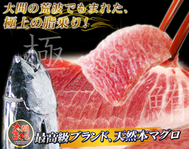 青森 大間 本マグロ 送料無料 【大間産本まぐろ赤身・中トロセット