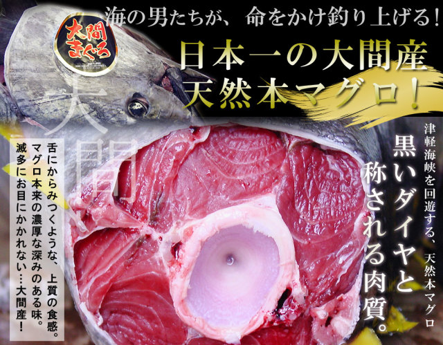 青森 大間 本マグロ 送料無料 【大間産本まぐろ3種セット】 まぐろ