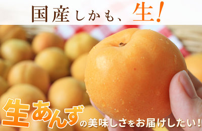 あんず 青森県産 生食 送料無料 【青森県産 生あんず 家庭用2kg