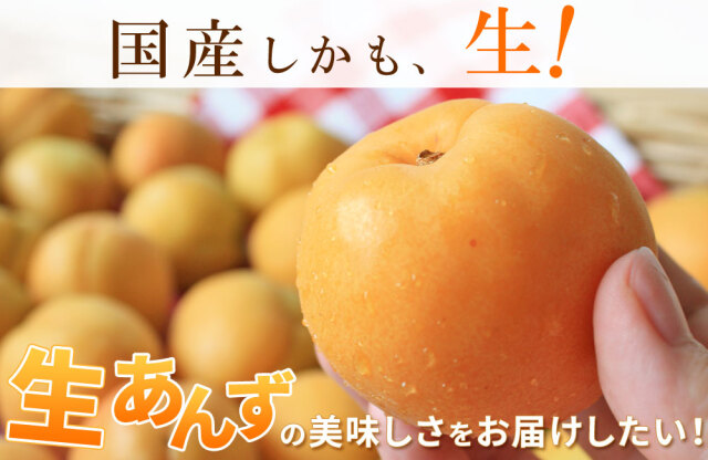 ★あんず　4kg 信州産 あんず　杏　生あんず　アプリコット もりひさ屋 輝橙あんず 500g 無添加 無農薬 無漂白 野生栽培