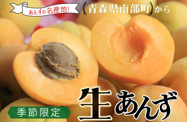 あんず 青森県産 生食 送料無料 【青森県産 生あんず 家庭用2kg