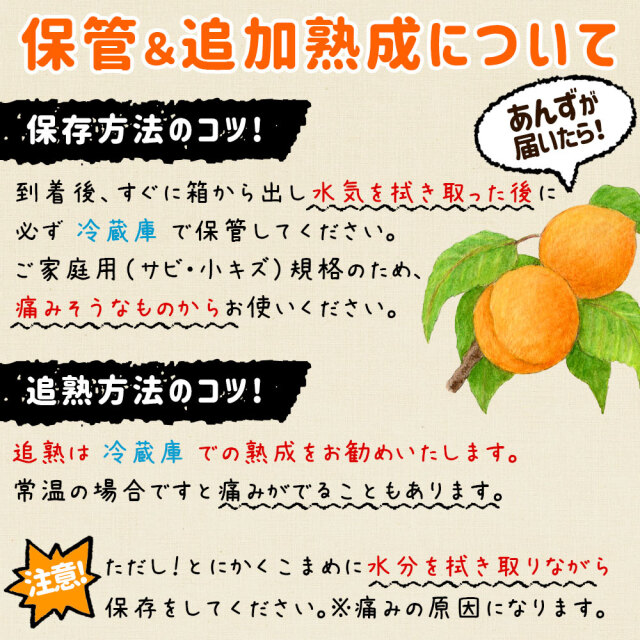 あんず 青森県産 生食 送料無料 【青森県産 生あんず 家庭用2kg