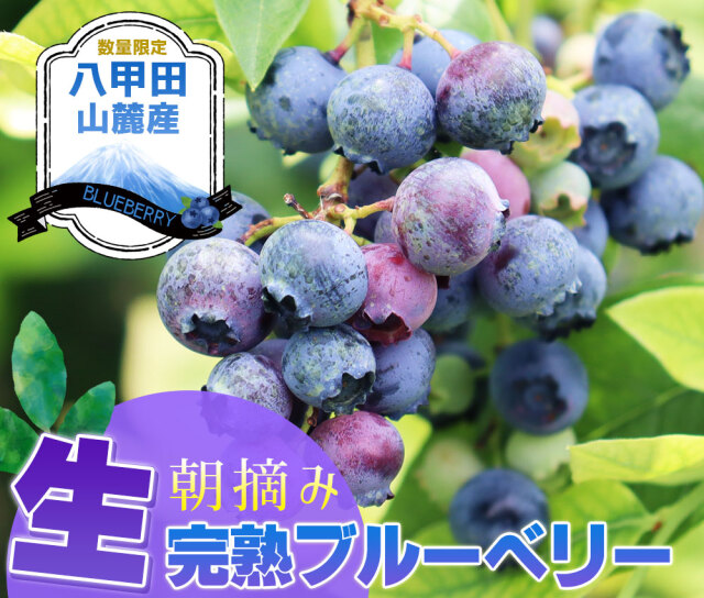 朝摘み冷凍ブルーベリー7kg入り 61gzpm8Y4LL._UF1000,1000_QL80_.jpg